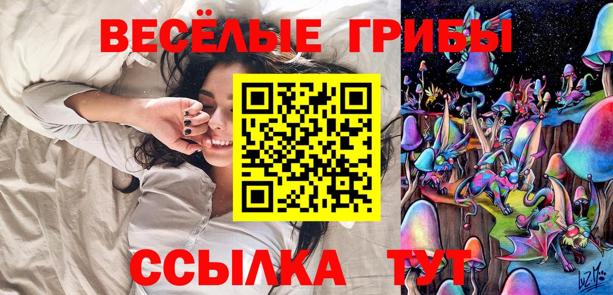 Псилоцибиновые грибы мицелий Кропоткин