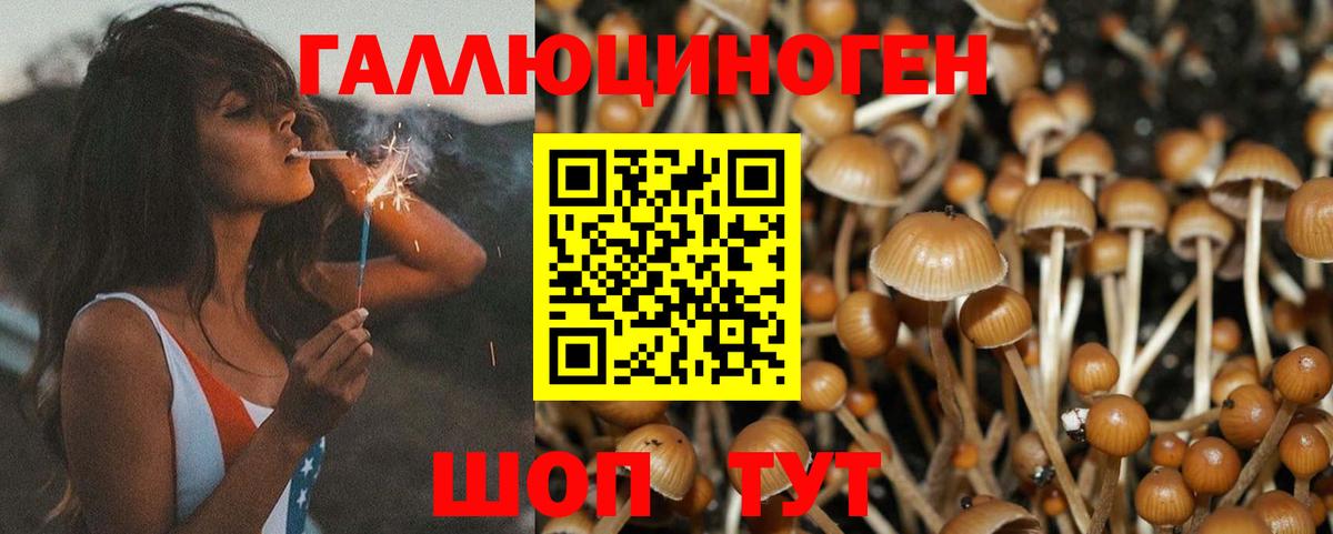 Галлюциногенные грибы мицелий  Вход с VPN  Кропоткин 